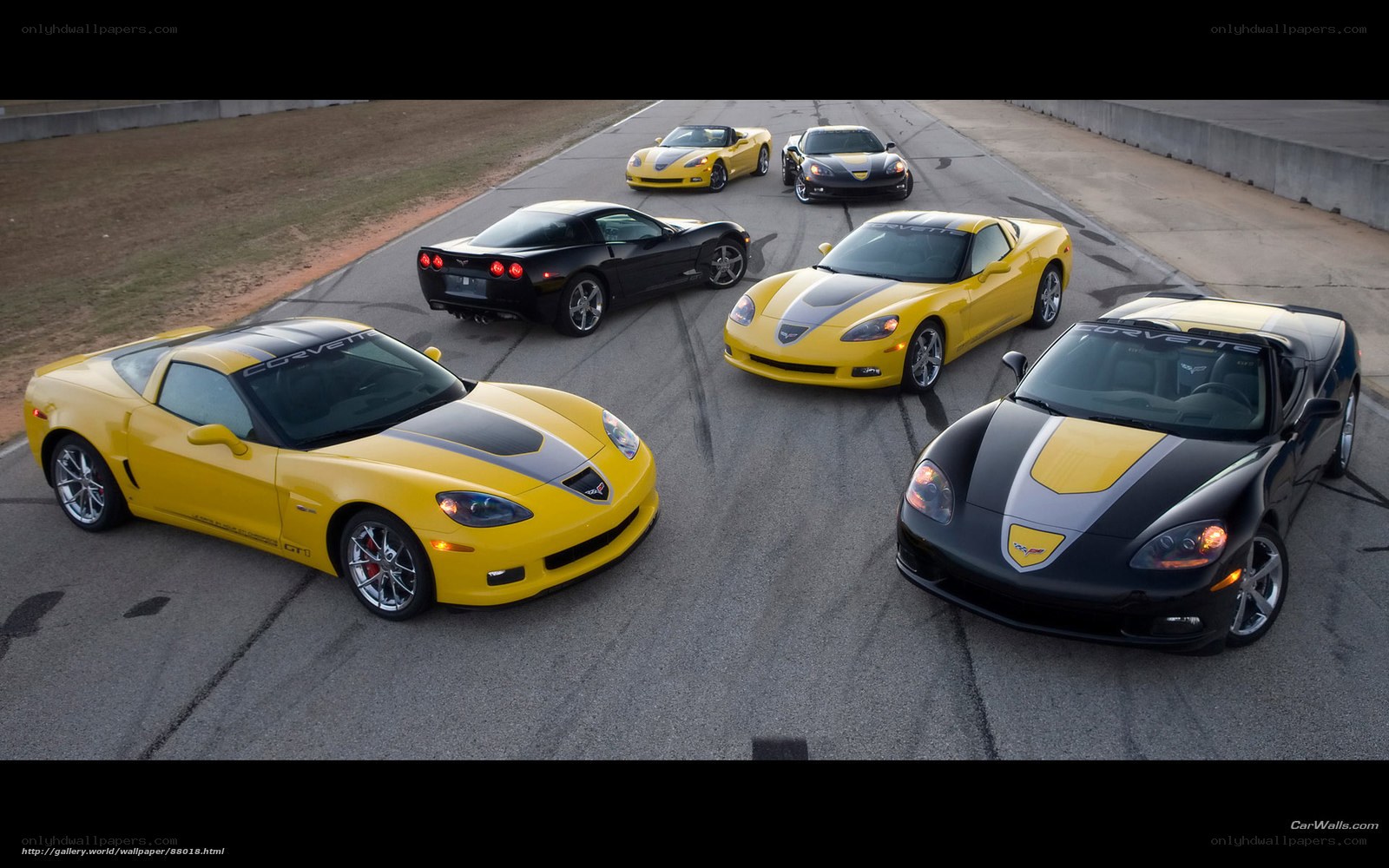 Corvette sports cars on track