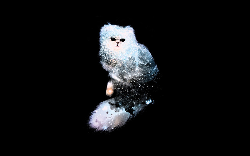 cosmic cat in space