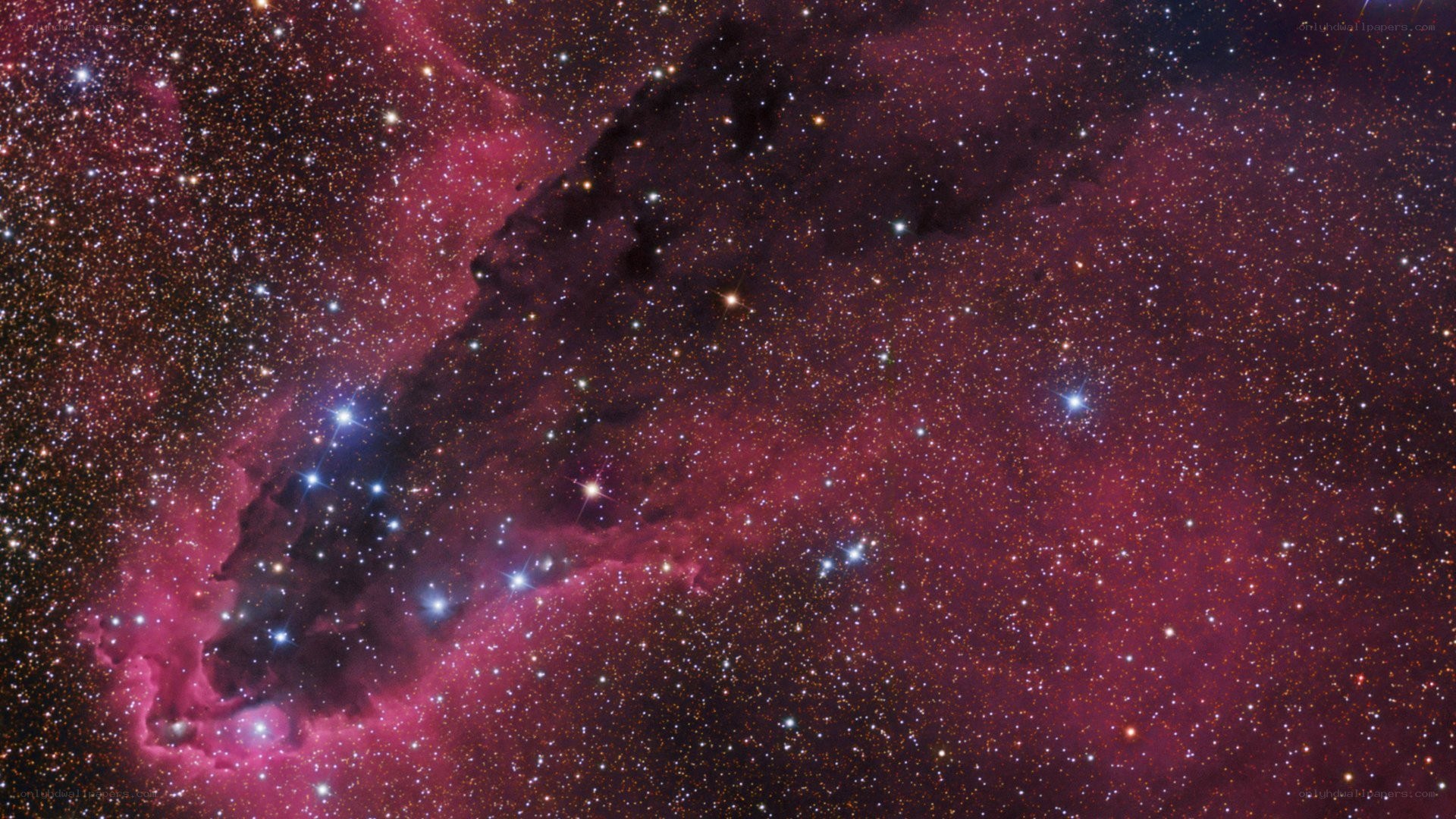 Cosmic cloud with stars