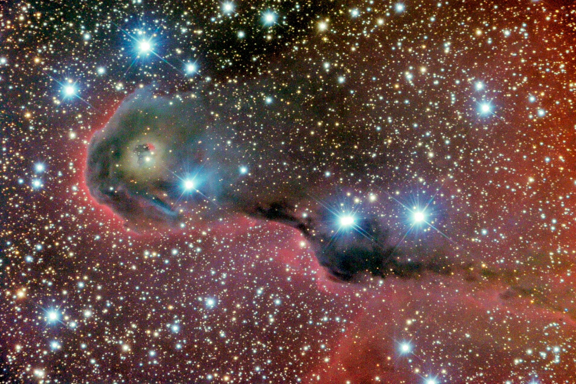 Cosmic Cloud with Stars