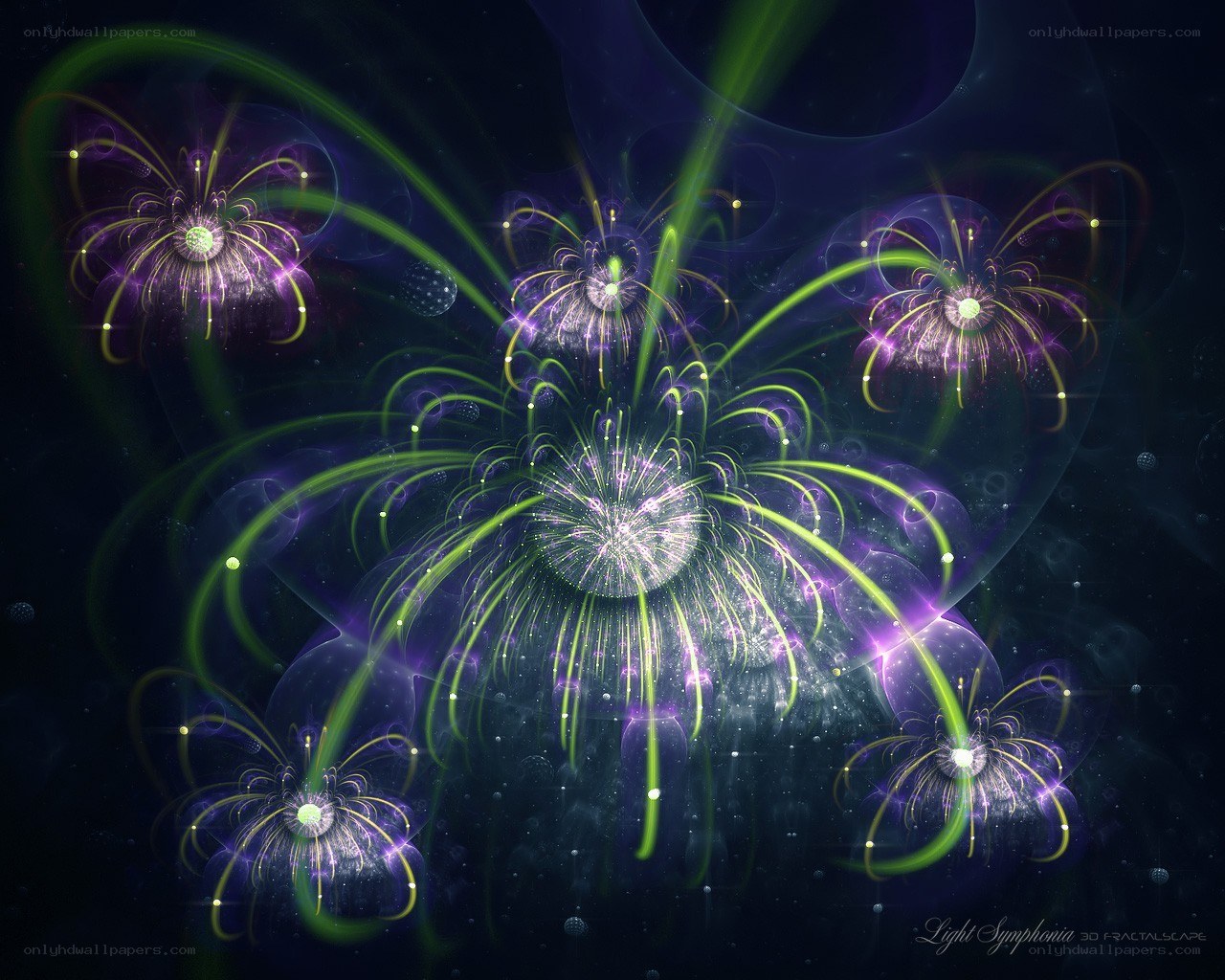Cosmic Fireworks Light Symphony