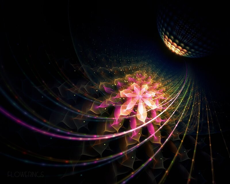 Cosmic Flower in a Fractal Tunnel
