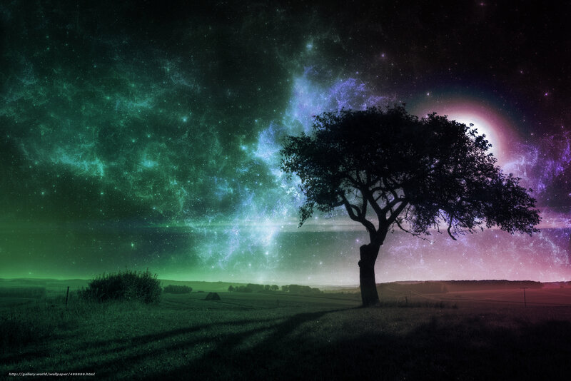Cosmic landscape with lone tree