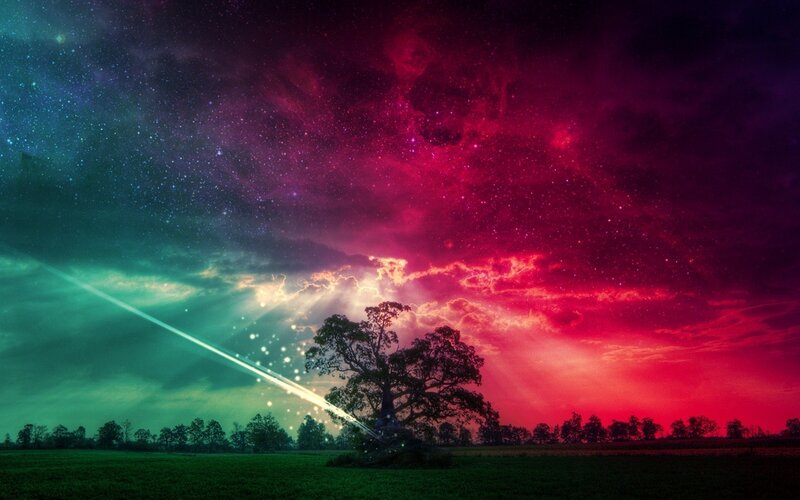 Cosmic landscape with tree