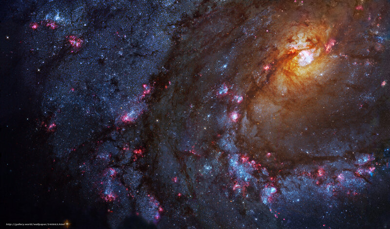 Cosmic Nebula and Star Formation