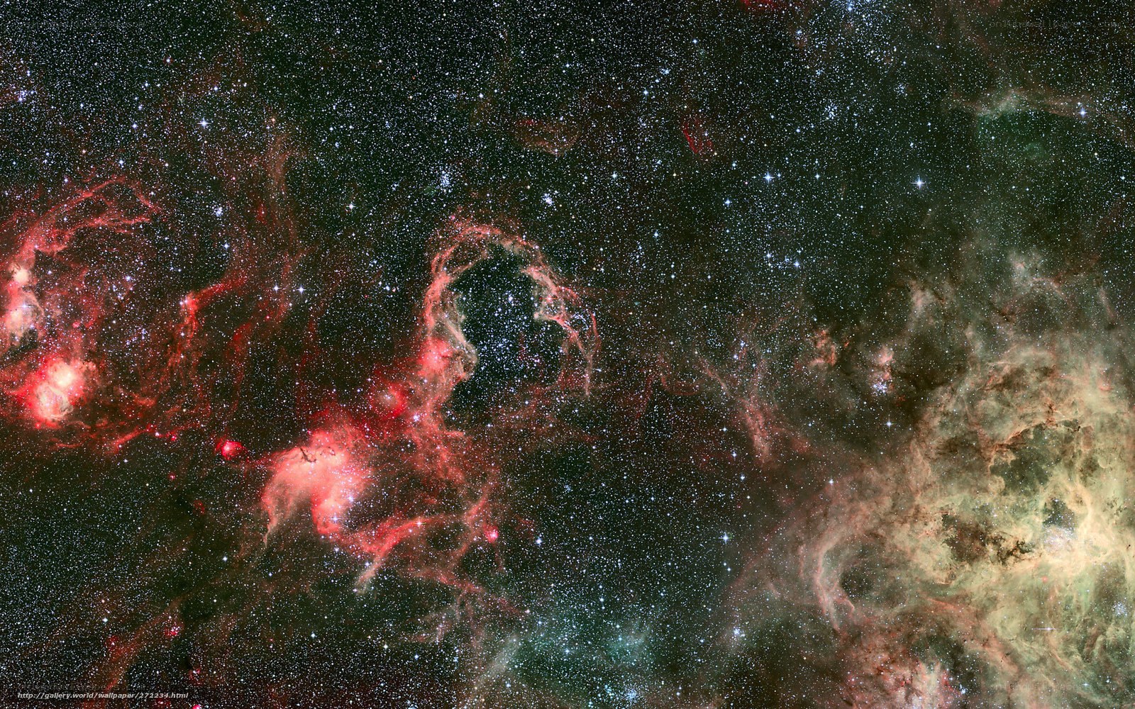 Cosmic Nebula and Stars