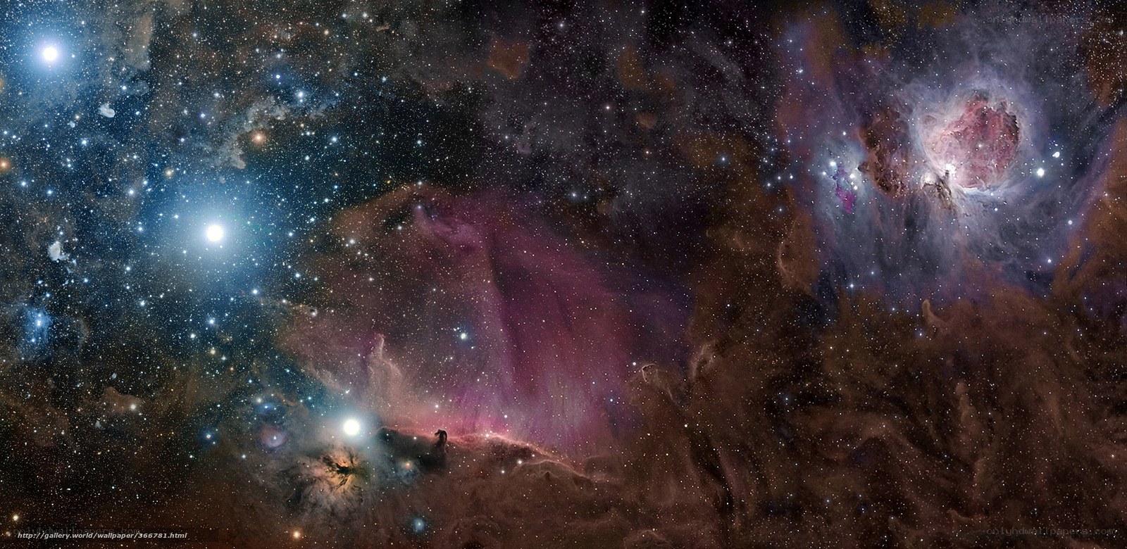 Cosmic Nebula and Stars