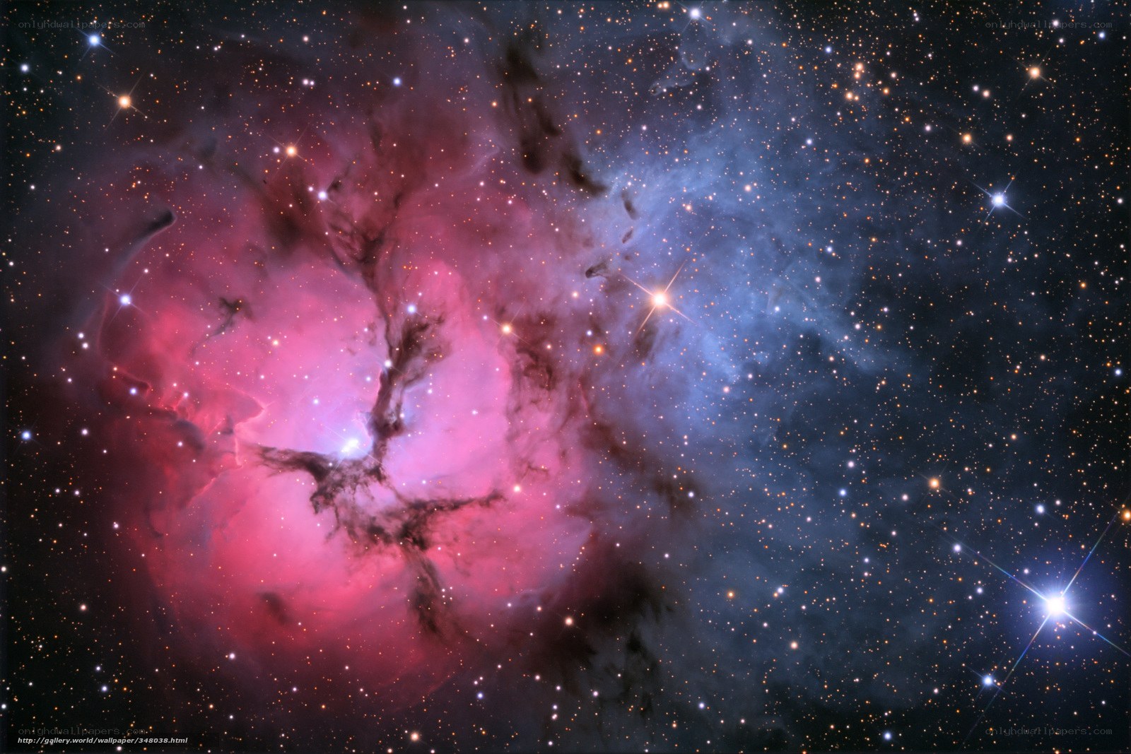 Cosmic Nebula in Space