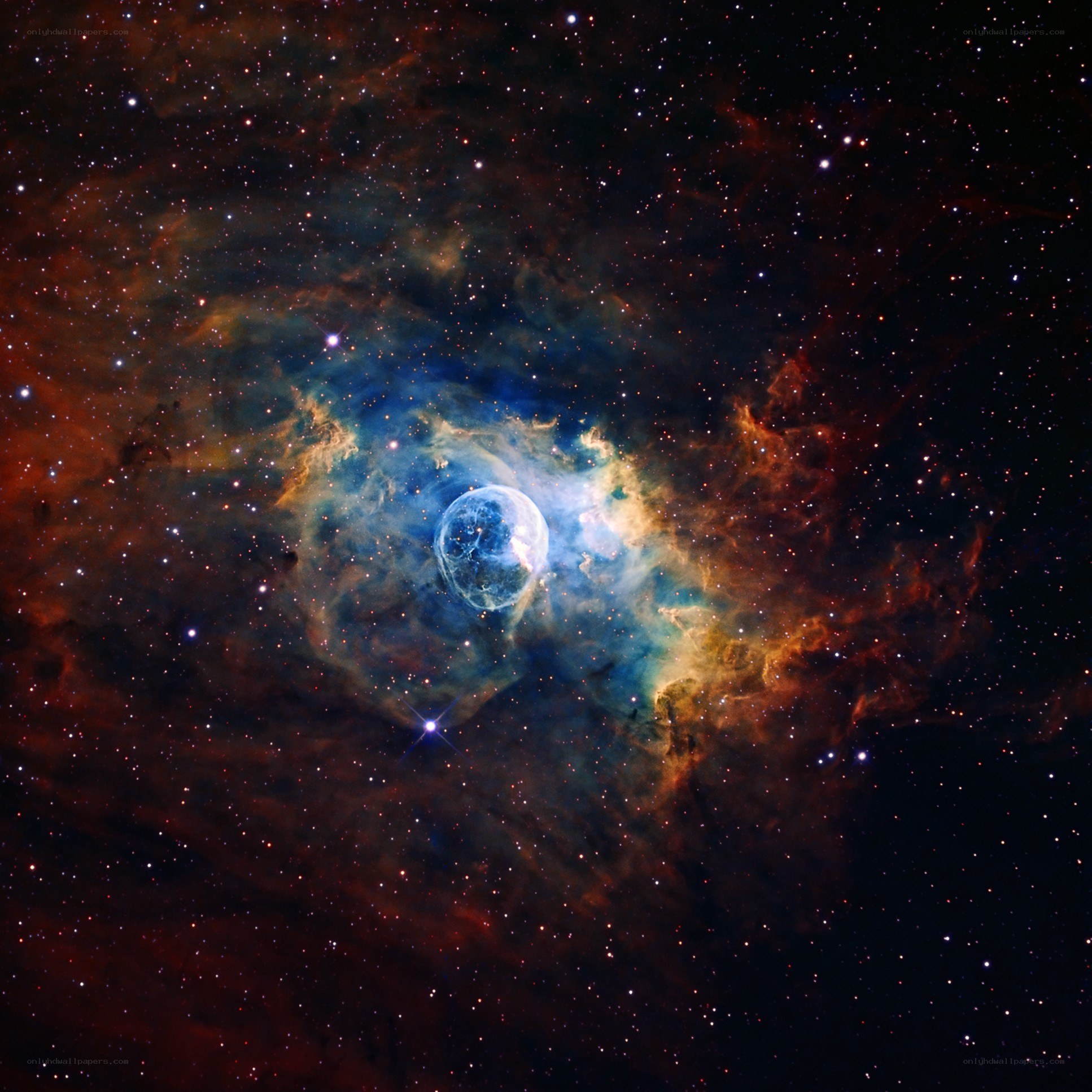 Cosmic nebula with star formation