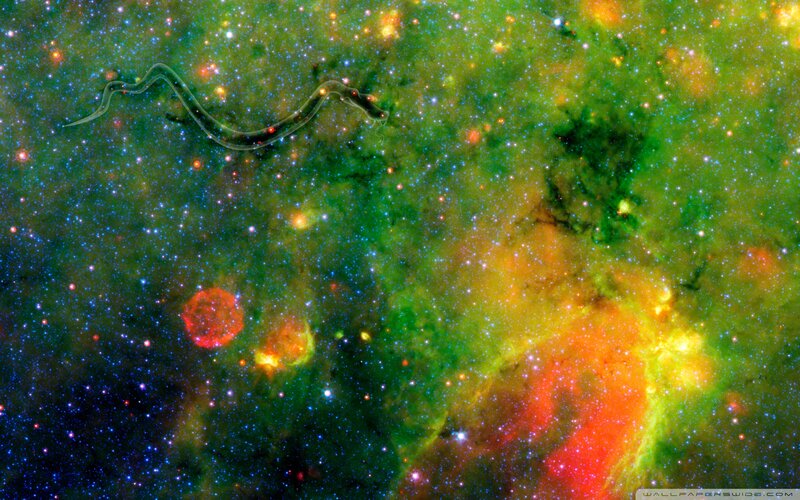 Cosmic Nebula with Stars — Green, Dramatic