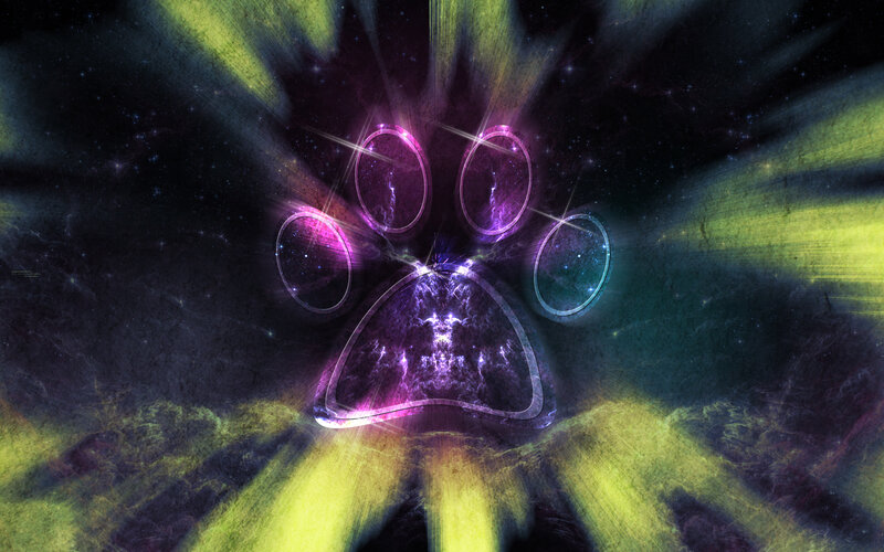 cosmic paw print design