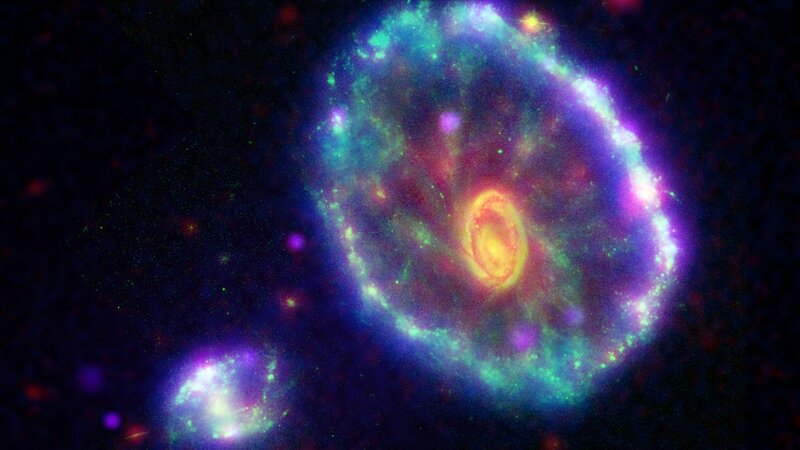Cosmic ring galaxy
