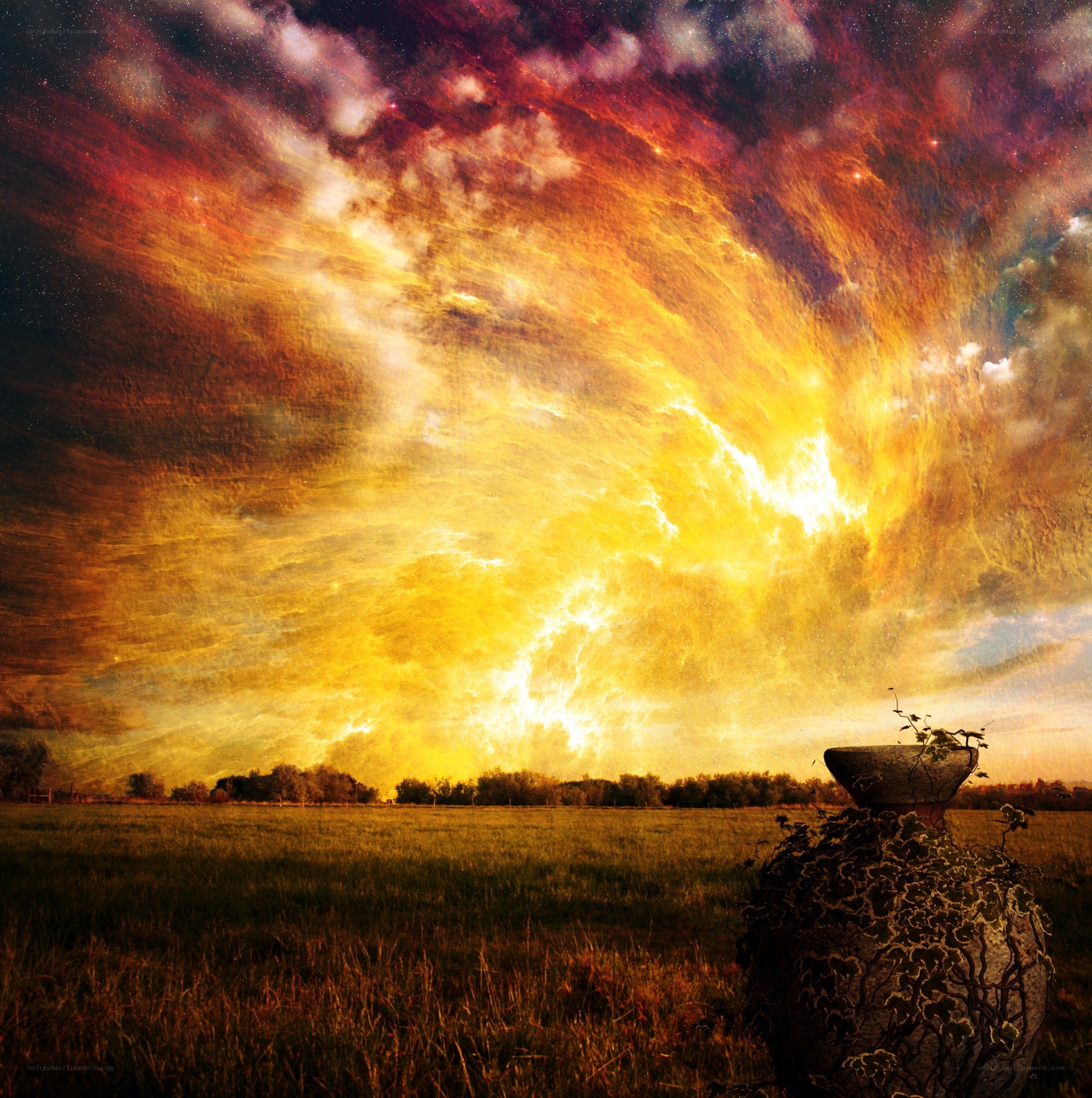 Cosmic sky over a field