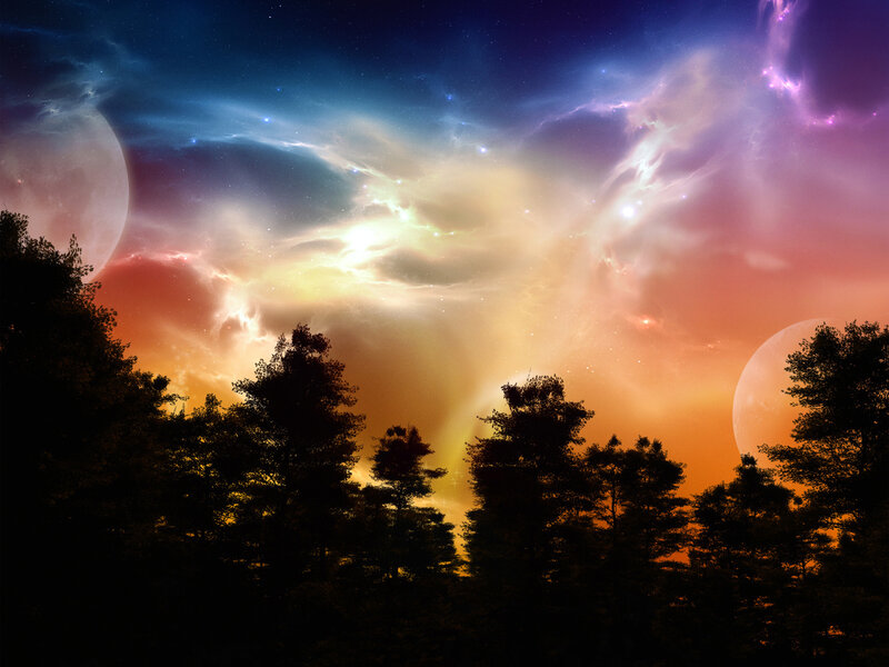 Cosmic sky over forest