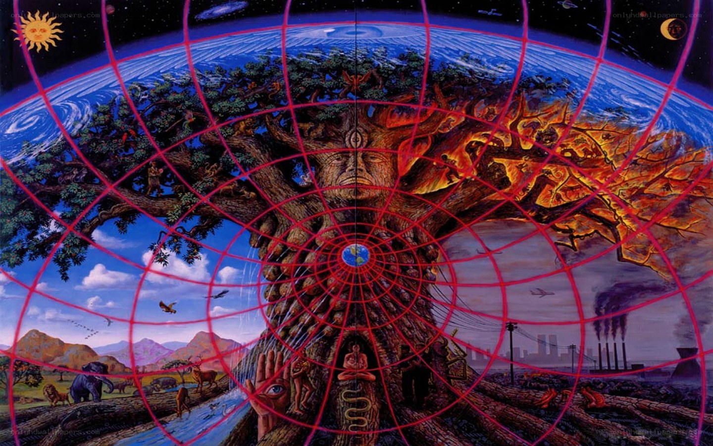 Cosmic Tree of Life