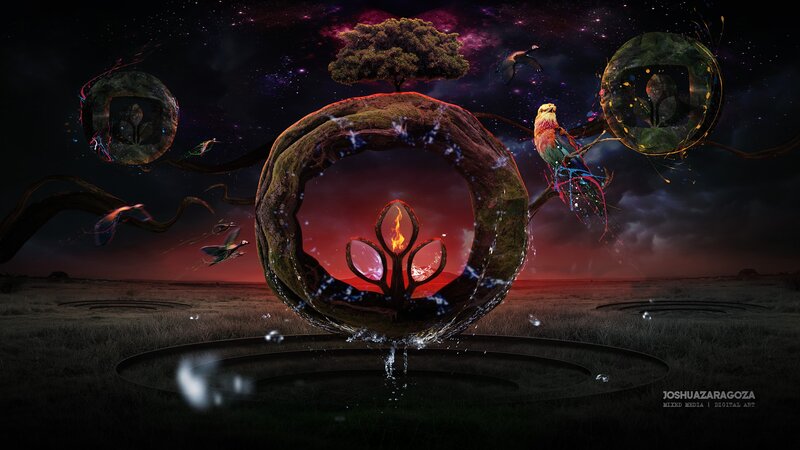 cosmic tree of life