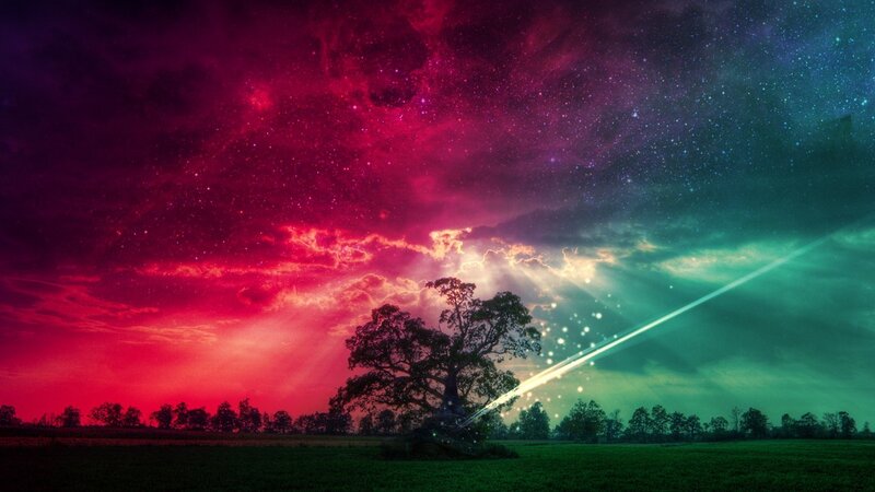 cosmic tree under starry sky