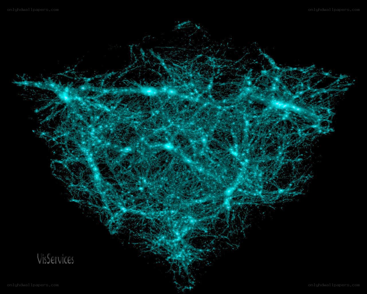 Cosmic web of galaxies
