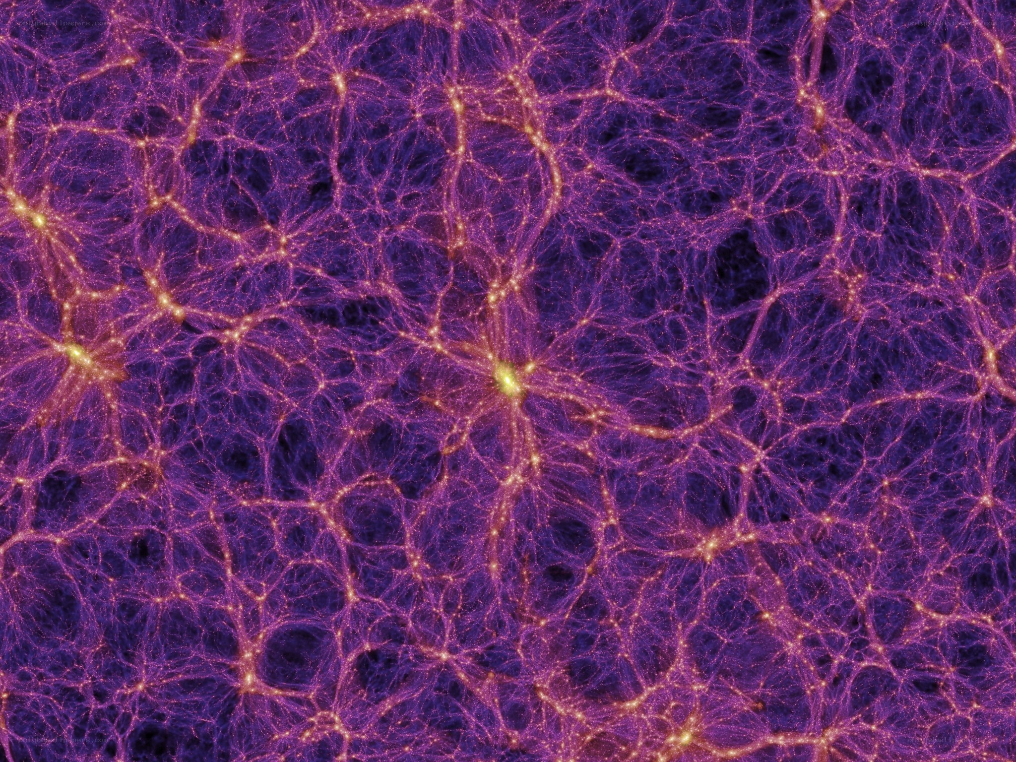 Cosmic web of galaxies