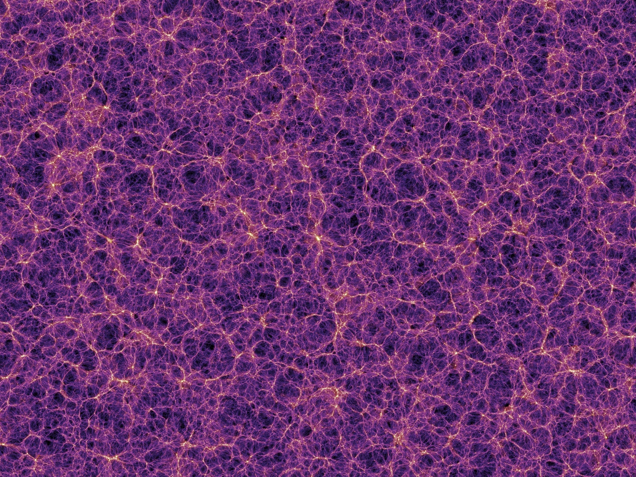 Cosmic web structure
