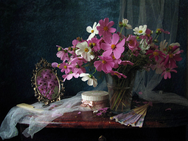 Cosmos Flowers in Vase — Pink, Dramatic