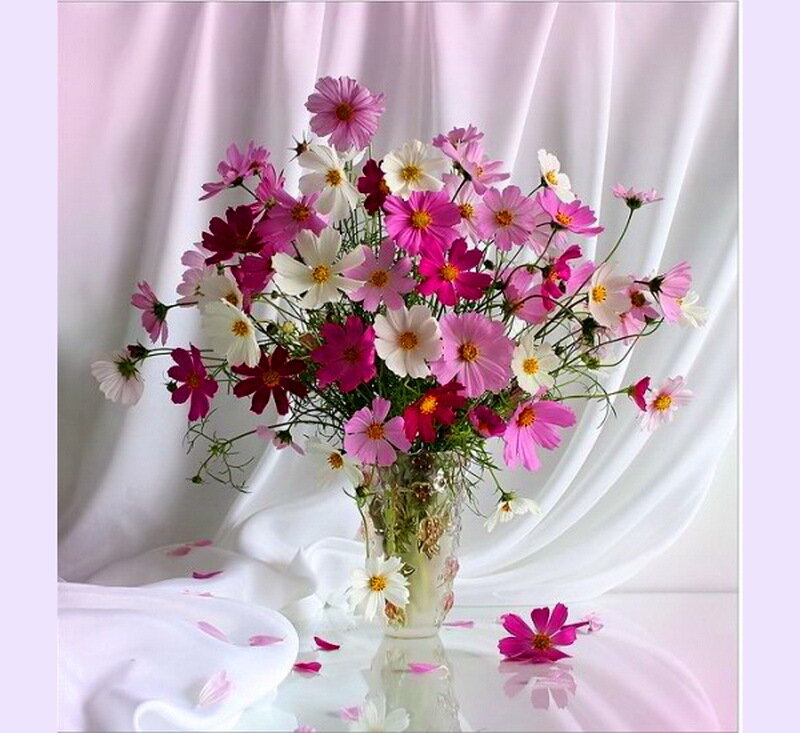 Cosmos Flowers in Vase — Pink