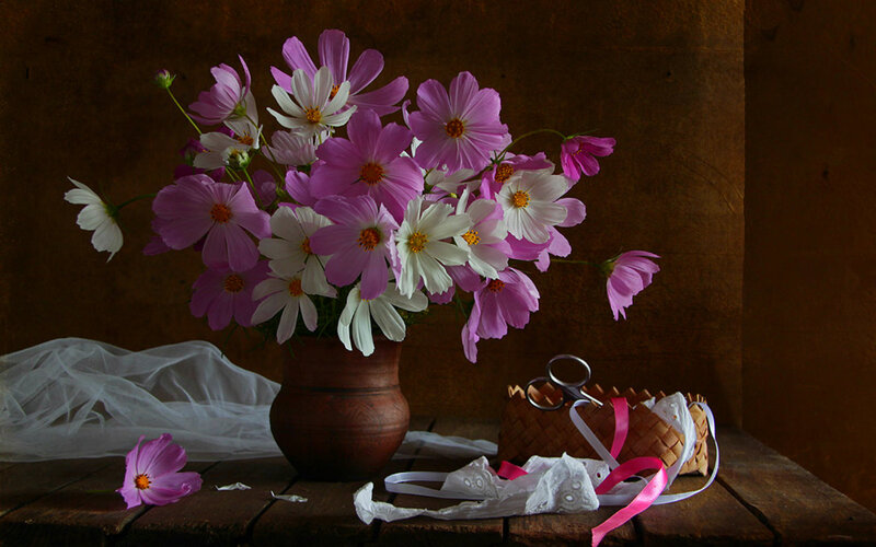 Cosmos Flowers in Vase — Purple, Dramatic