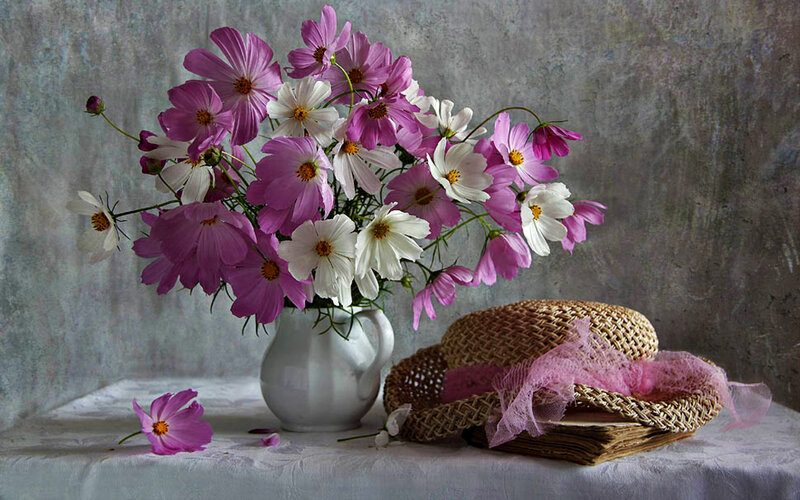 Cosmos Flowers in Vase — Purple, Serene