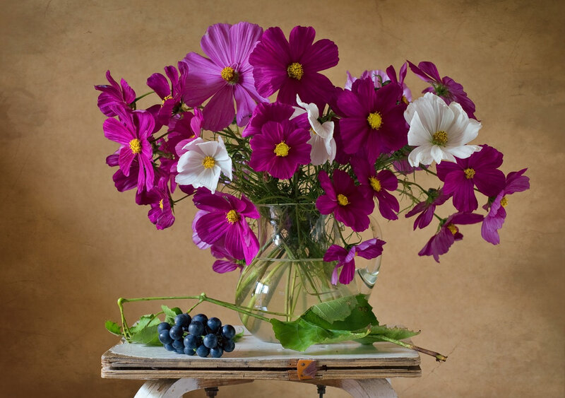 Cosmos Flowers in Vase — Purple
