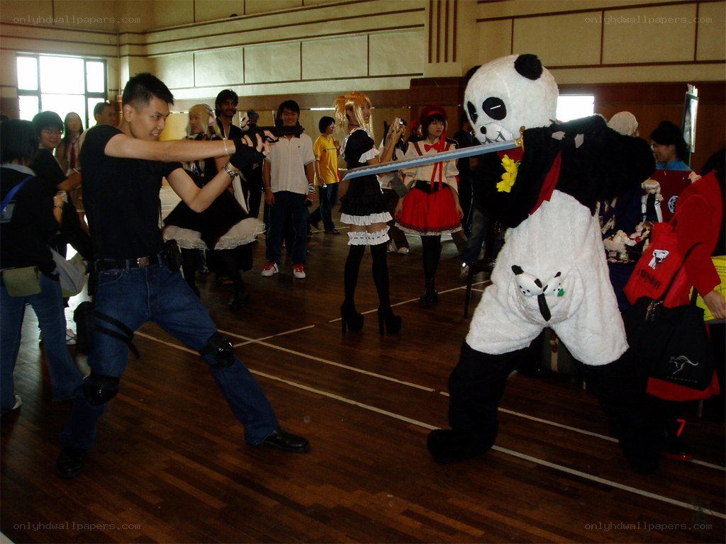 Cosplay sword fight at convention