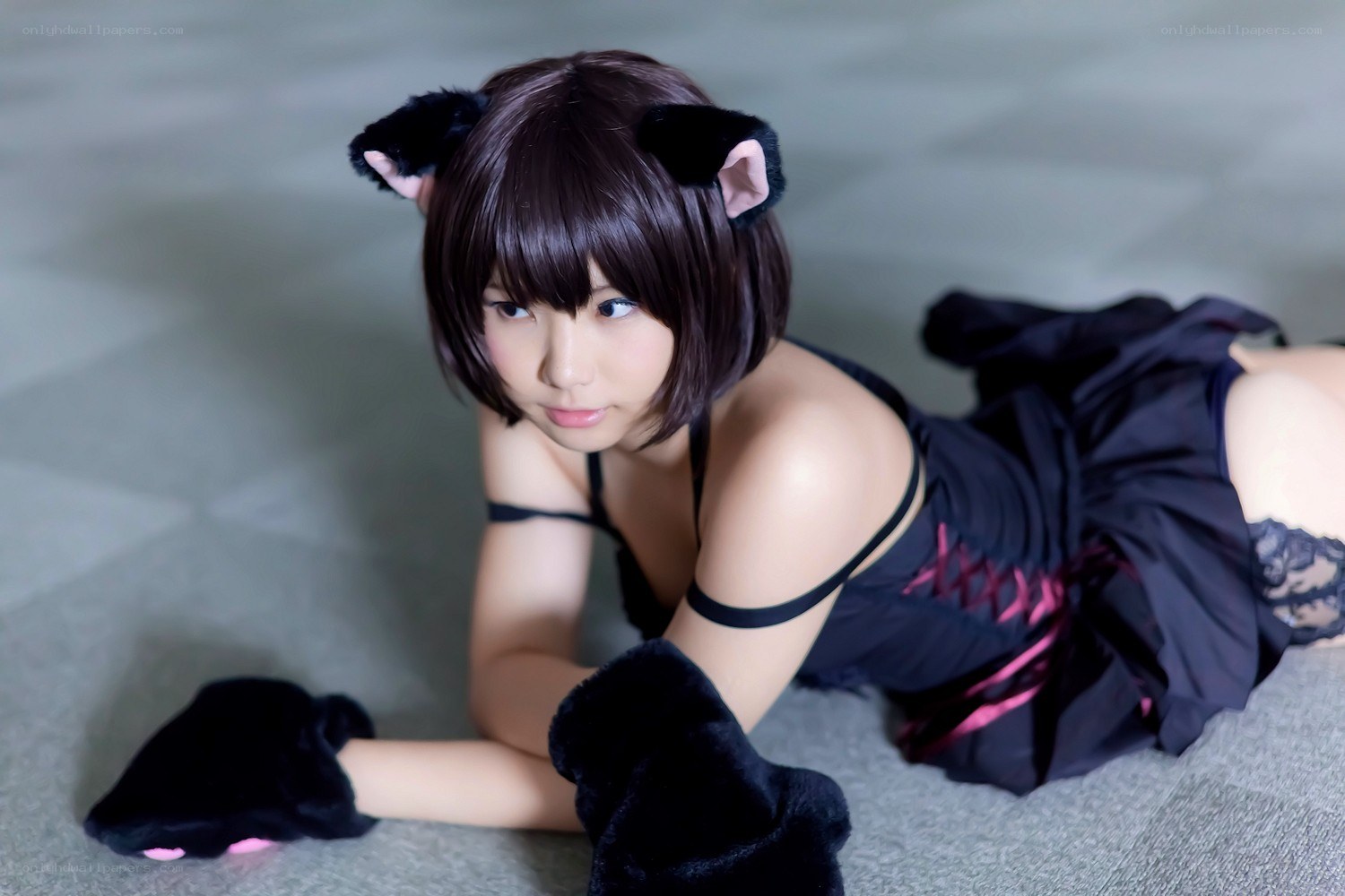 cosplayer in cat costume