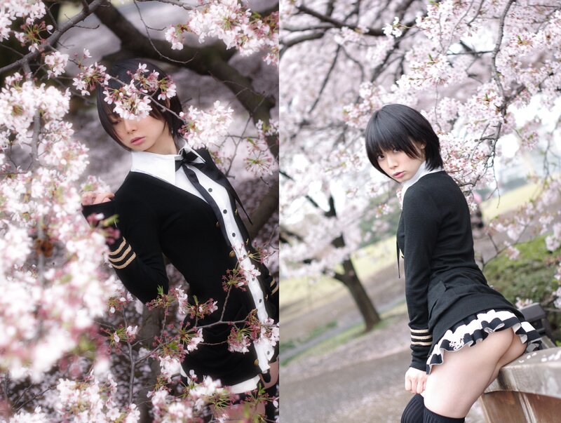 cosplayer in cherry blossoms