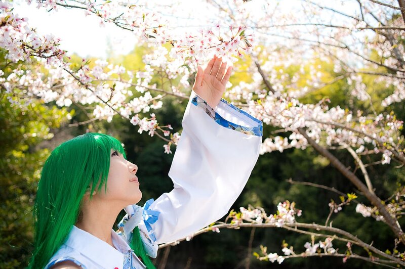 cosplayer under cherry blossoms