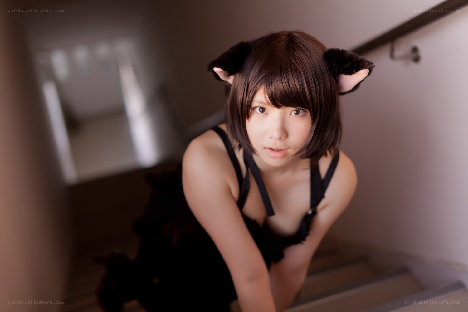 cosplayer with cat ears on stairs