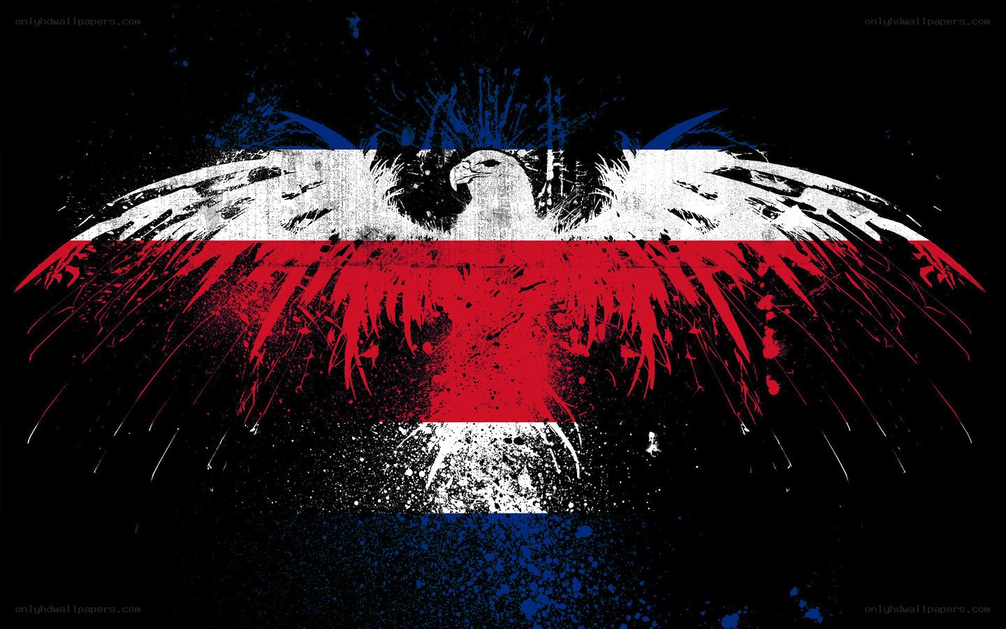 Costa Rican flag with eagle