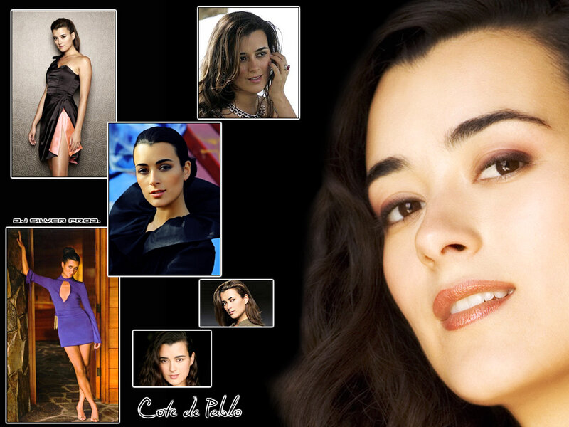 Cote de Pablo collage
