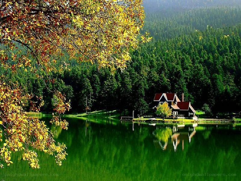 Cottage by a forest lake