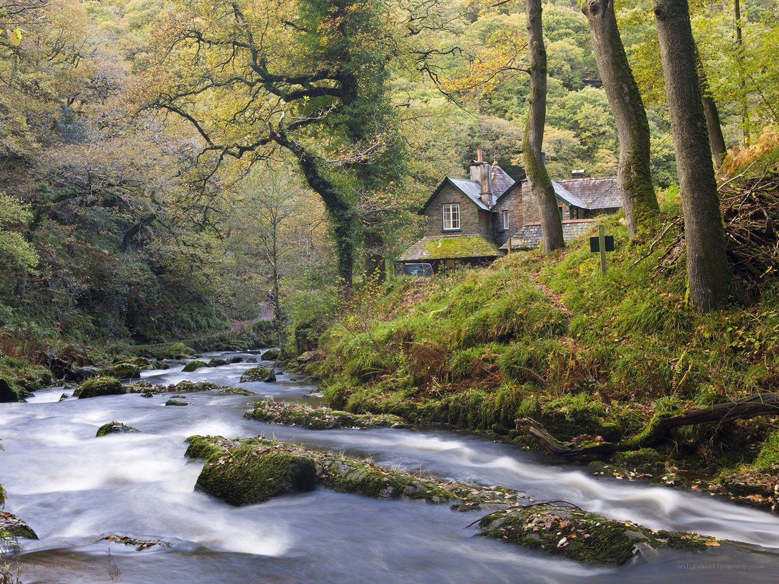 Cottage by a forest stream