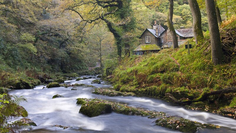 Cottage by a forest stream