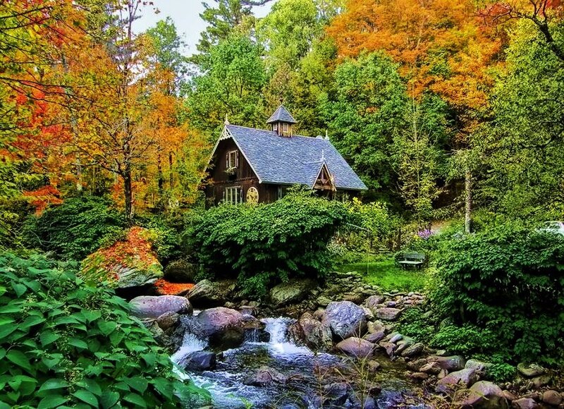 Cottage by a forest stream