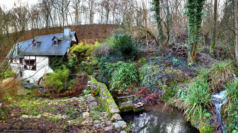 cottage by a forest stream