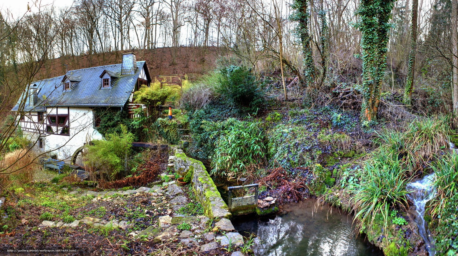 cottage by a forest stream