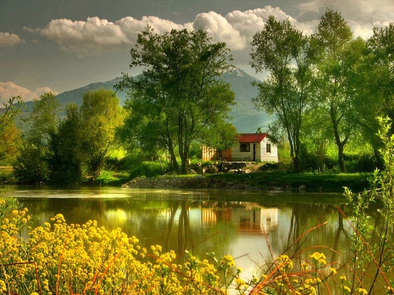 Cottage by a Lake — Green, Serene, Afternoon, Photograph