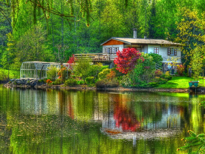 Cottage by a Lake — Green, Serene, Spring