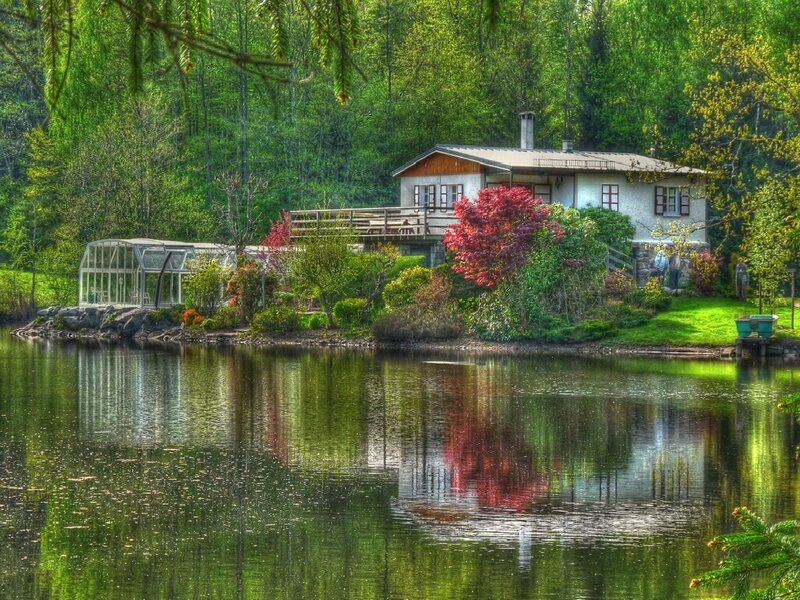 Cottage by a lake in the forest