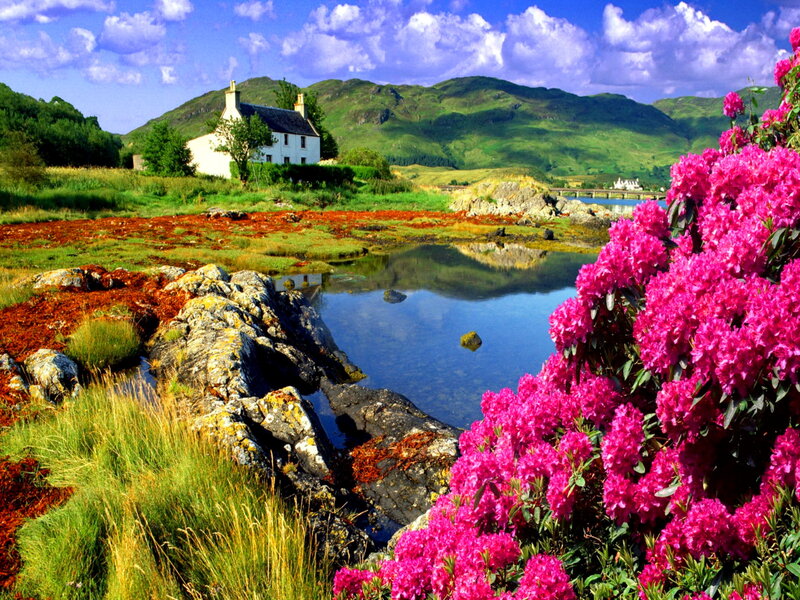 Cottage by a Loch