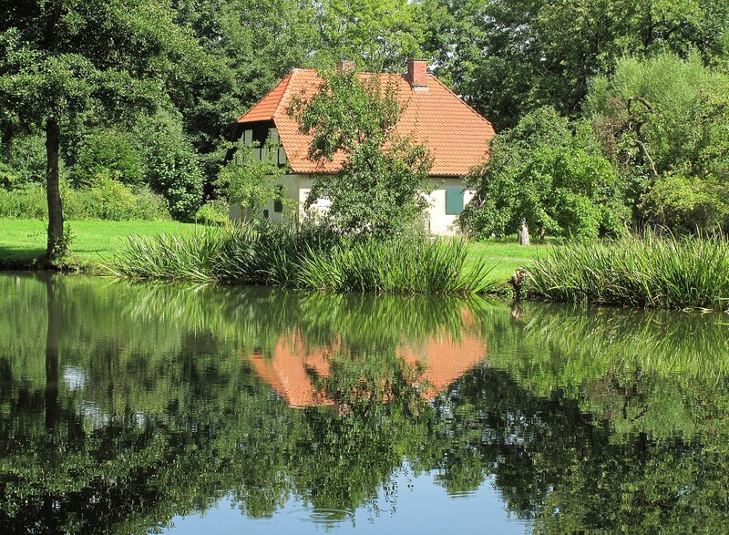 Cottage by a pond in the forest