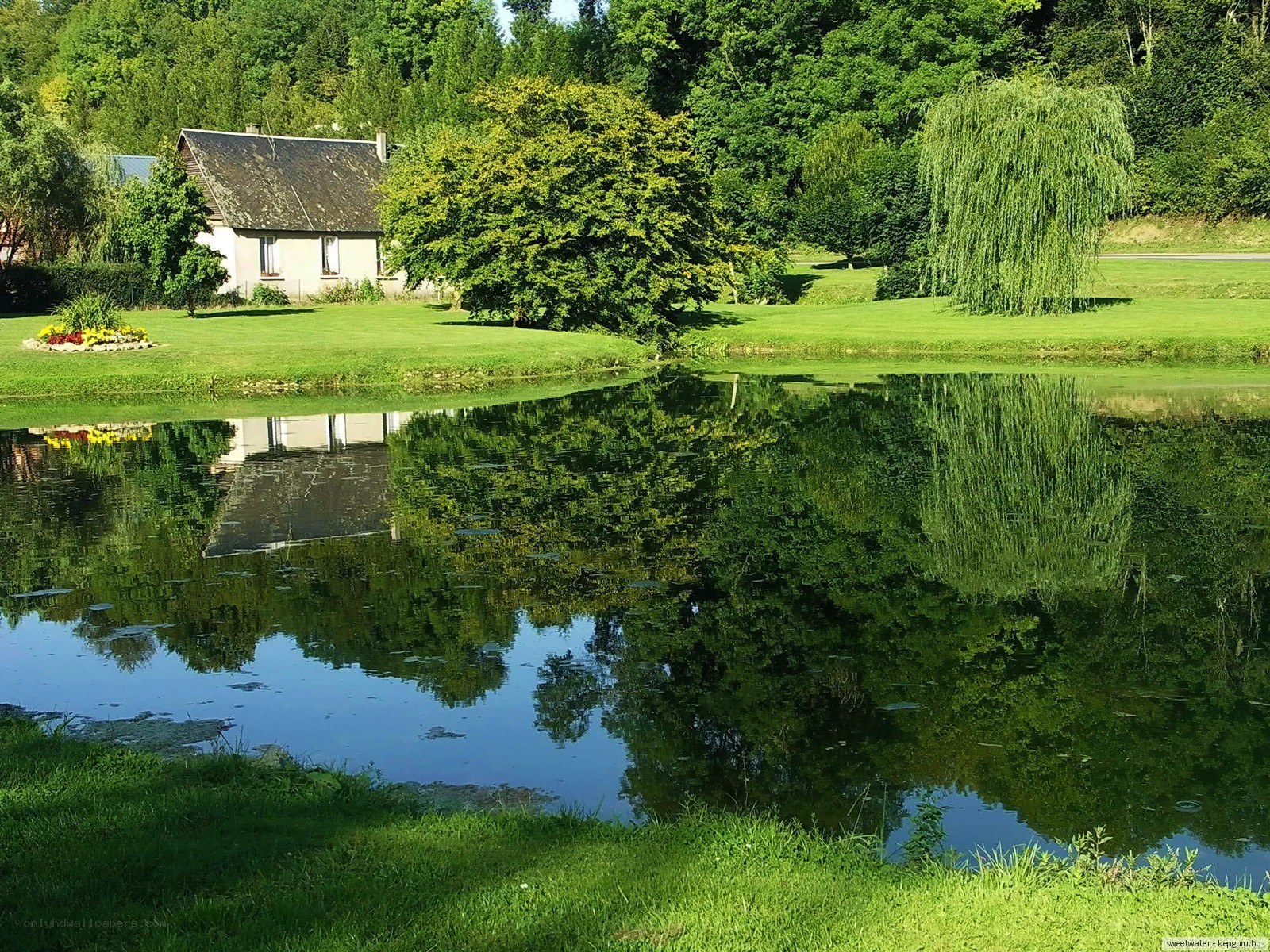 Cottage by a pond with reflections