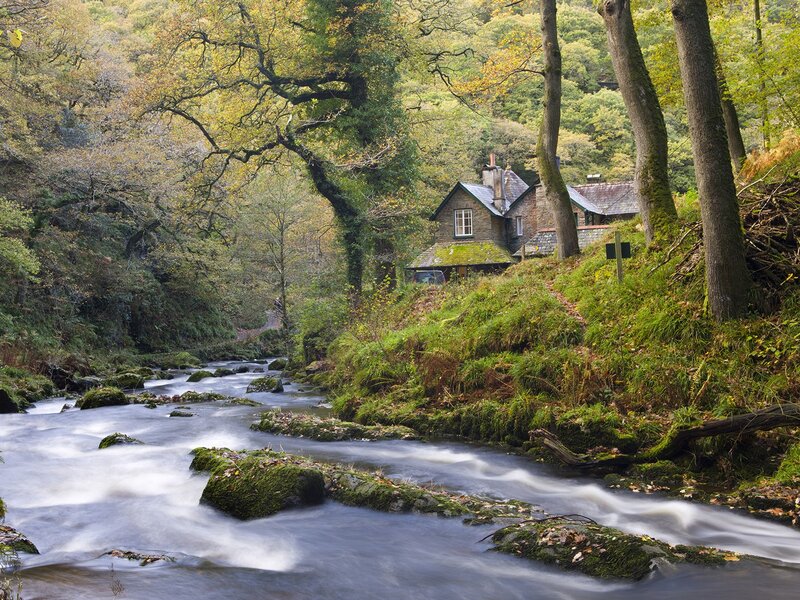 Cottage by a River — Green, Serene, Autumn, Photograph, Trees, House