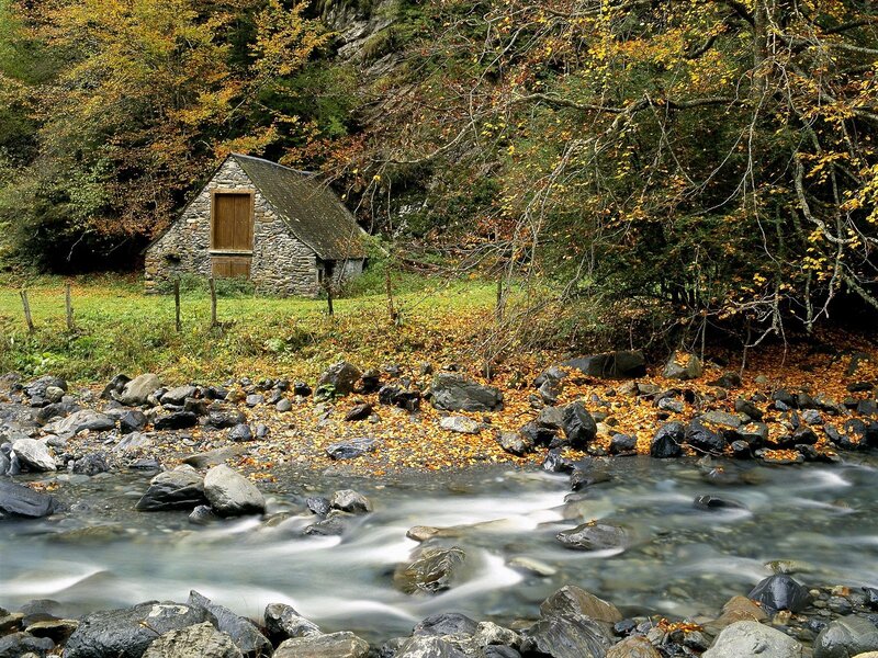 Cottage by a river in autumn
